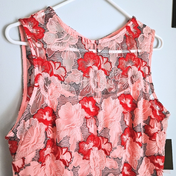 NWT Donna Ricco Strawberries & Cream Pink Sheer Embroidered Fit-and-Flare Dress - Picture 2 of 8